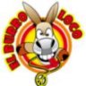 burroloco