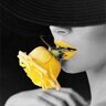 ladybusiness