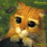 ajib_boy