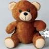 teddyboy