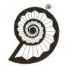 Ummo