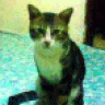 nina9890