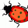 jitterbug