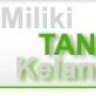 tokeytanah