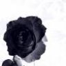 black_Rose