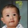 shinoda