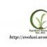 aromaserai2u