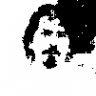 boy66