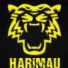 hisyam7