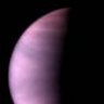 thevenus