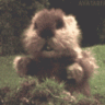 gopherscool