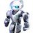 robot.solution