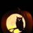 old owl
