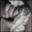Offimefopgype