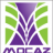 mocazfx
