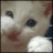 Annie