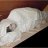 GOME