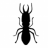 Termites