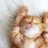 amirul_