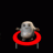 MambangBiru
