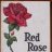 red rose