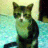 nina9890