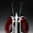 ashwan_khalid