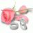 lovingtouch