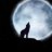 K_Wolf