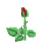 roseangelina