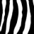 mjzebra