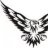 eagle9