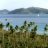 Pulau Tenggol