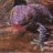 GeckoFx