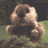 gopherscool